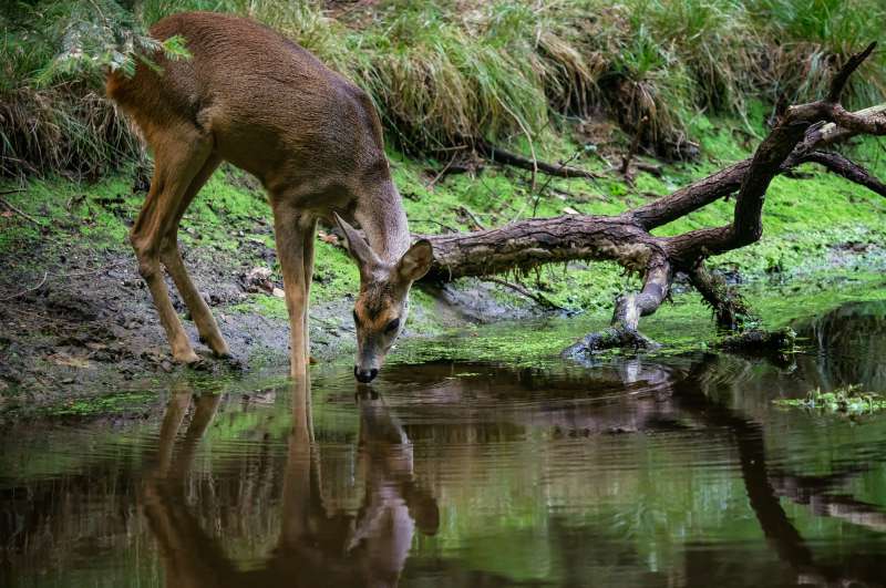 Uitnodiging tot het levende water.